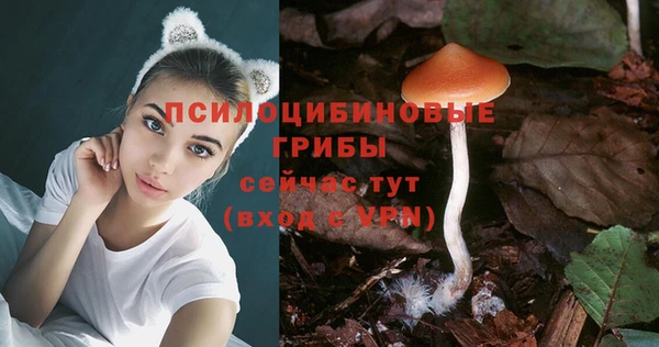 каннабис Алзамай